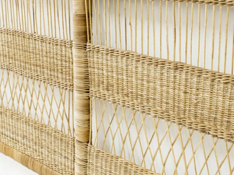 cane close up cane close up